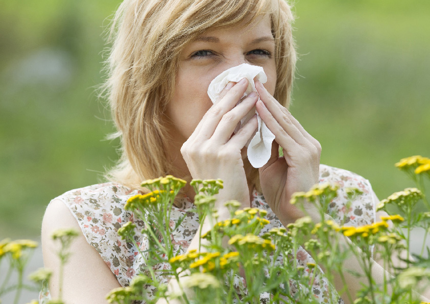 Alergias en la primavera
